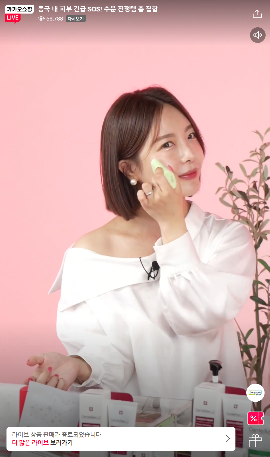 레퍼런스 이미지